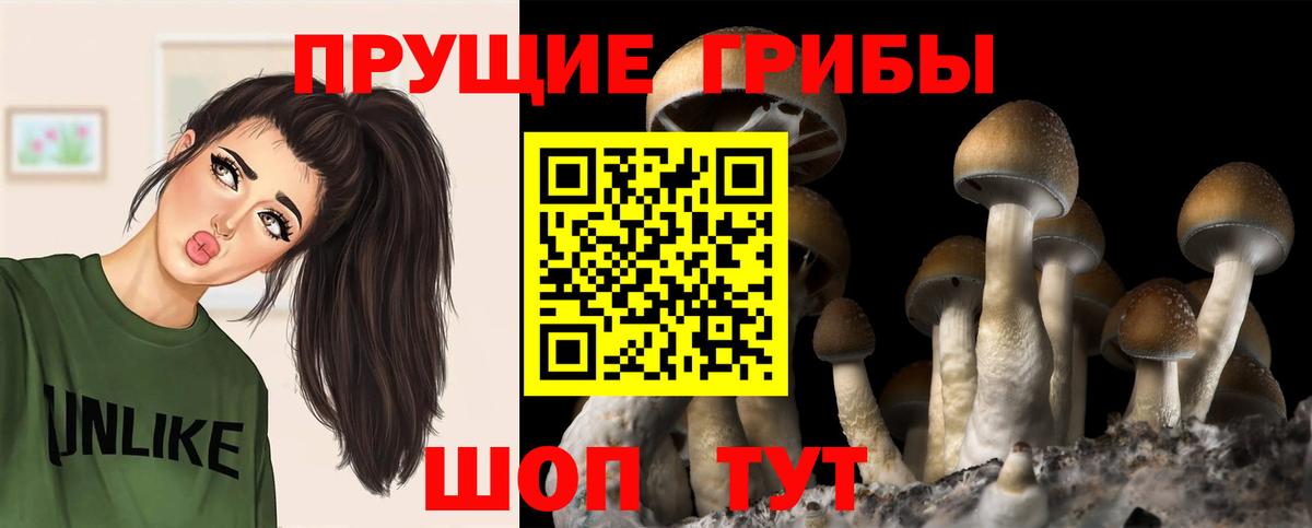 Галлюциногенные грибы Cubensis  Вход с VPN  Псилоцибиновые грибы ЛСД  Кизилюрт 